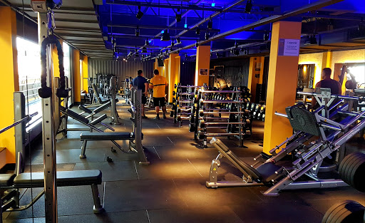 Academia Smart Fit - Campestre